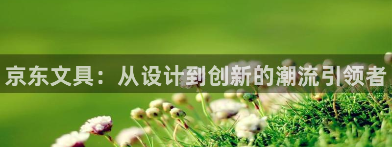 天顺娱乐属于哪个公司：京东文具：从设计到