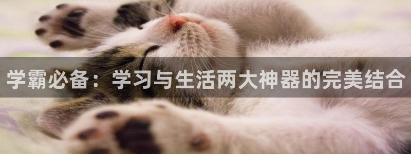 天顺娱乐铰943994：学霸必备：学习与