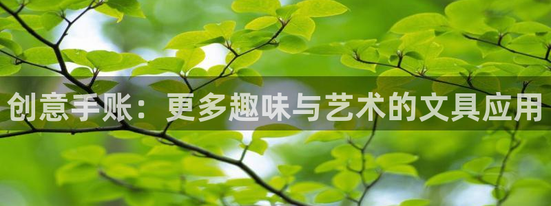 天顺娱乐舞厅怎么样啊：创意手账：更多趣味