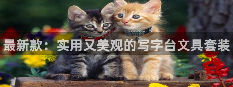 天顺娱乐去675138：最新款：实用又美