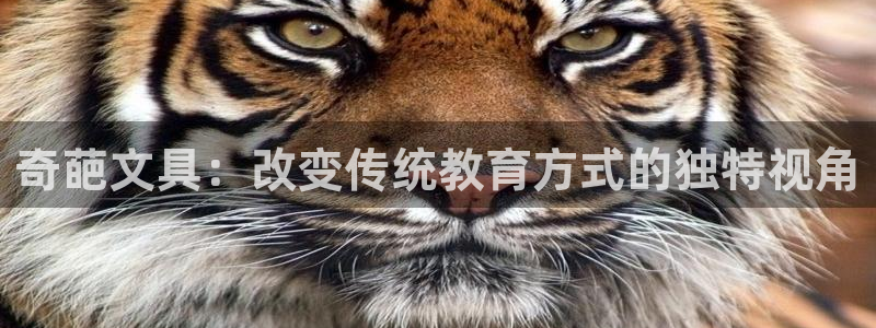 天顺娱乐官方网站：奇葩文具：改变传统教育