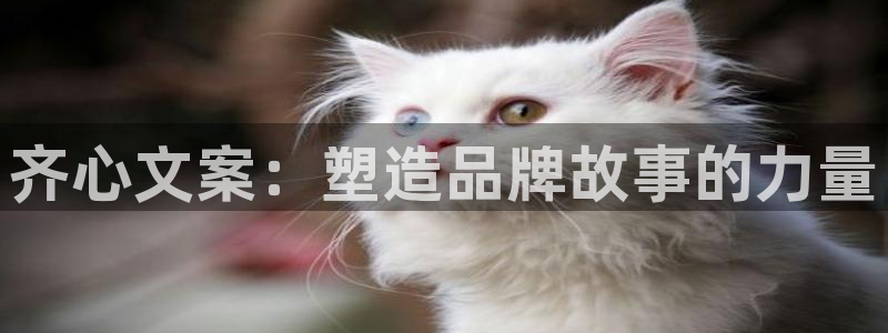 天顺娱乐准造秦奋83334j：齐心文案：