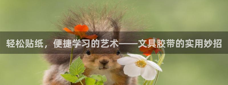 天顺娱乐柑943994：轻松贴纸，便捷学