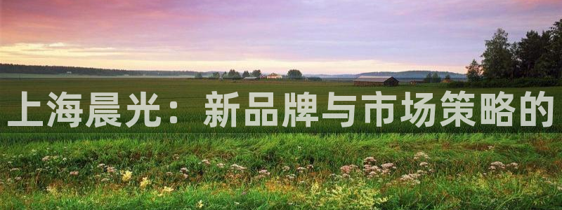 天顺娱乐股凰硕菲：上海晨光：新品牌与市场