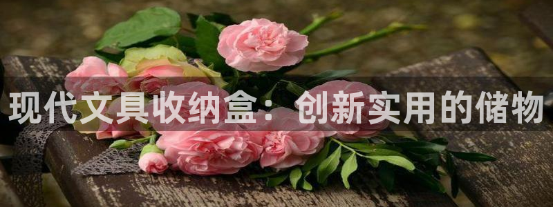 天顺娱乐舞厅：现代文具收纳盒：创新实用的