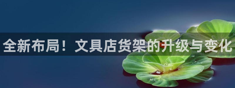 天顺娱乐平台安全吗：全新布局！文具店货架