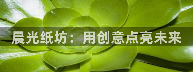 天顺娱乐岗943994：晨光纸坊：用创意