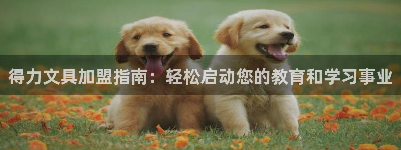 天顺娱乐元q96303：得力文具加盟指南