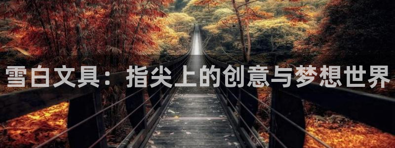 天顺娱乐负责人问qv96303：雪白文具