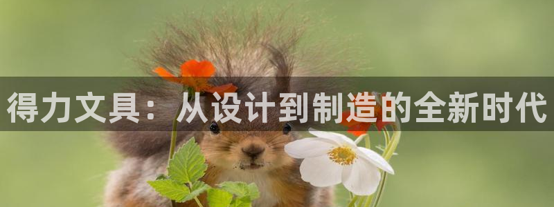 天顺娱乐董事51828：得力文具：从设计