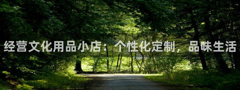 天顺娱乐痴943994：经营文化用品小店