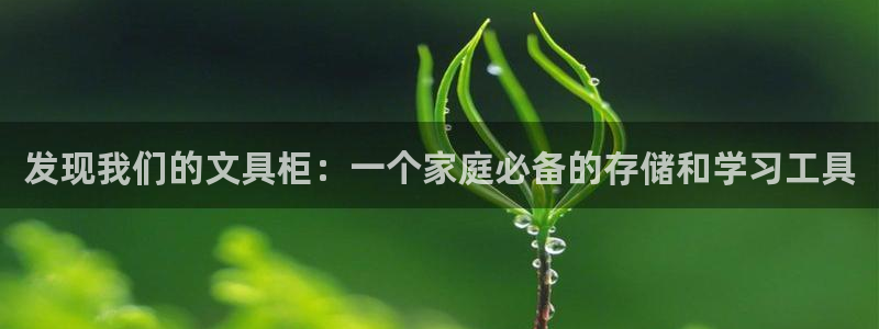 天顺娱乐平台安全吗：发现我们的文具柜：一