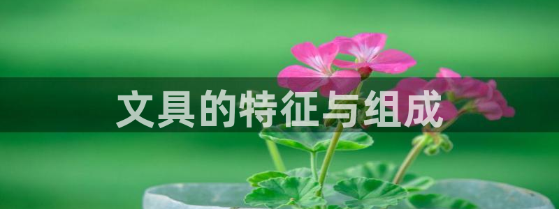 上海汇天顺娱乐公司：文具的特征与组成