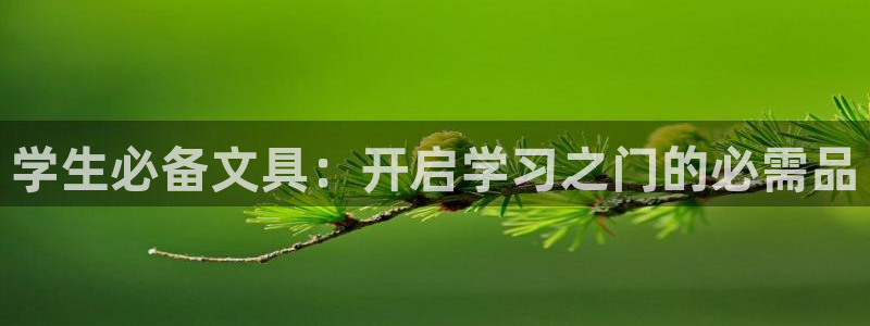 天顺娱乐快绵p官29999