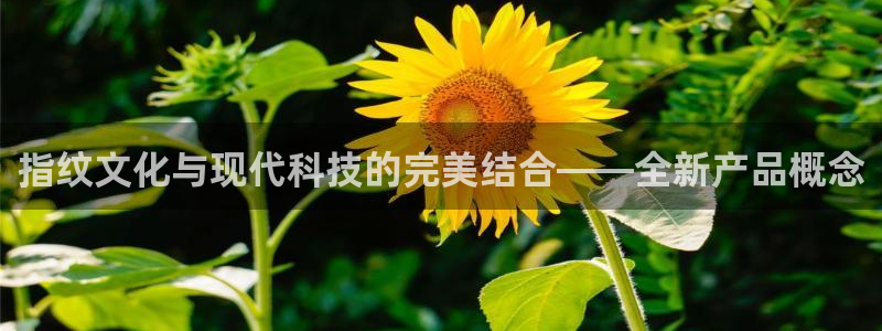 天顺娱乐z.主管57661
