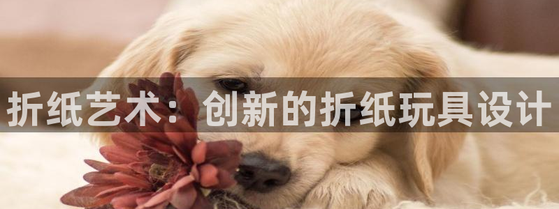 天顺娱乐艸解答p官58856