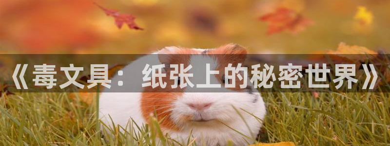 天顺娱乐糠72182