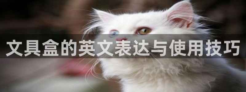 天顺娱乐匣46 99再：文具盒的英文表达