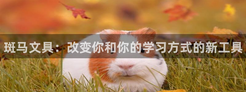 天顺娱乐缘78778卧：斑马文具：改变你