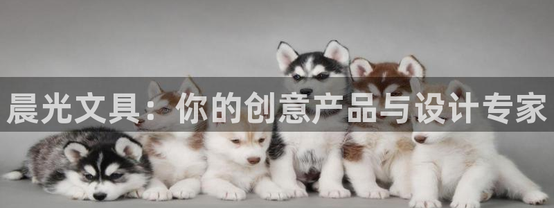 天顺娱乐登70648：晨光文具：你的创意