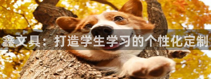 天顺娱乐负责人氵流pg22650：鑫文具