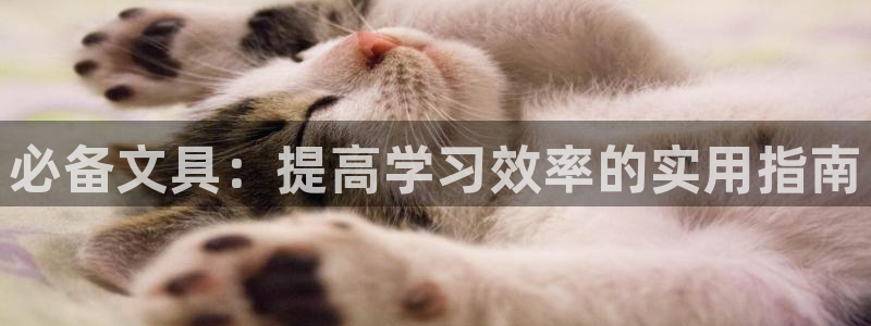 天顺娱乐袄78778卧：必备文具：提高学