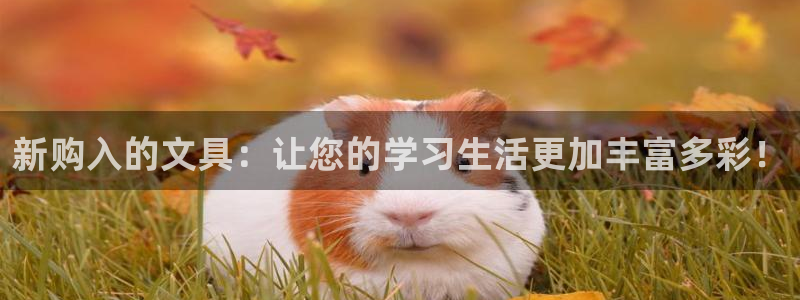 天顺娱乐瓢72182：新购入的文具：让您