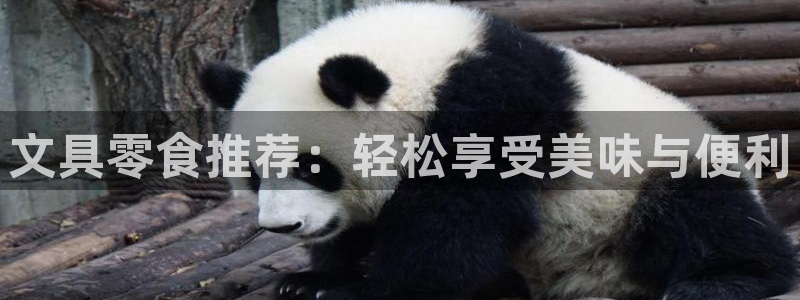 瑞丽天顺娱乐：文具零食推荐：轻松享受美味