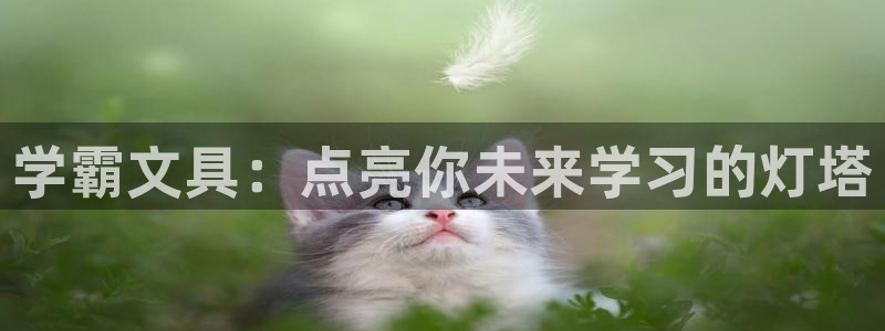 天顺娱乐网74OOO5：学霸文具：点亮你