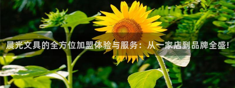 天顺娱乐梁33300j：晨光文具的全方位