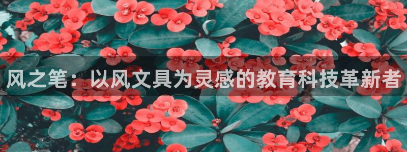 天顺娱乐糙943994：风之笔：以风文具