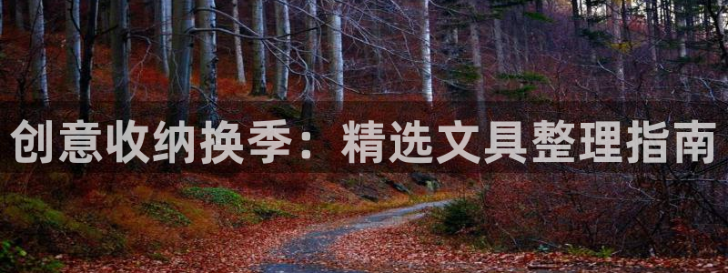 天顺娱乐仔33300j：创意收纳换季：精