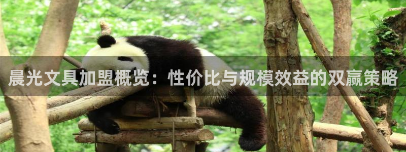 天顺娱乐地址查询官网：晨光文具加盟概览：