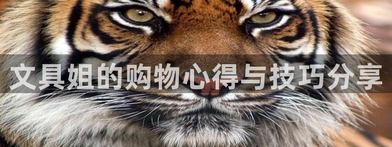 洞天天顺休闲娱乐：文具姐的购物心得与技巧