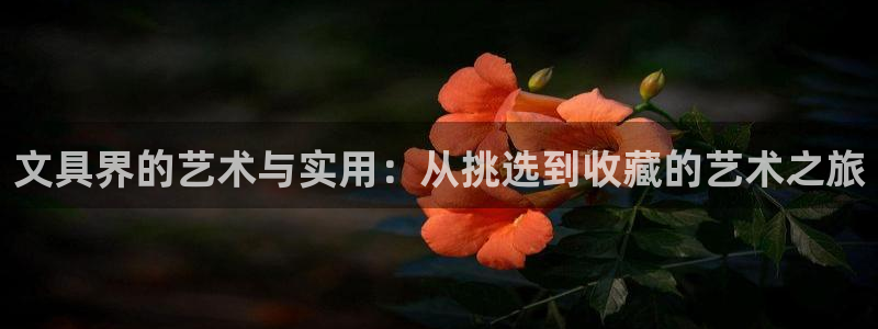 天顺娱乐主管都：文具界的艺术与实用：从挑