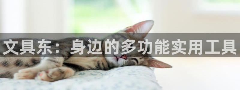 天顺娱乐主管可靠吗：文具东：身边的多功能