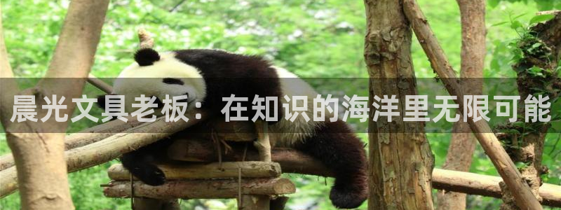 天顺娱乐 内r部36.668：晨光文具老