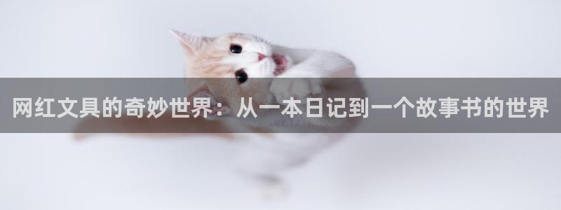 天顺娱乐怎样看K线图：网红文具的奇妙世界