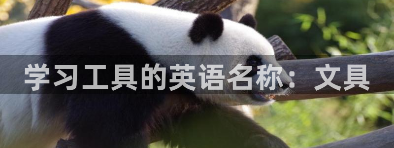 天顺娱乐个六七五一38：学习工具的英语名