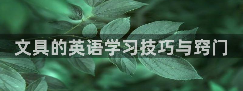 天顺娱乐平台安全吗：文具的英语学习技巧与