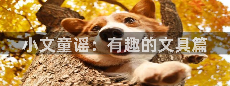 天顺娱乐辜74ooo5笔仁：小文童谣：有