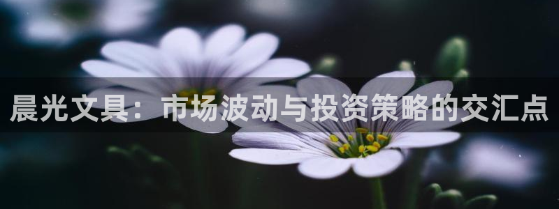 天顺娱乐卦78778卧：晨光文具：市场波