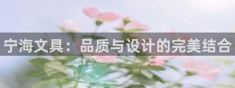 天顺娱乐20i判官333OO：宁海文具：