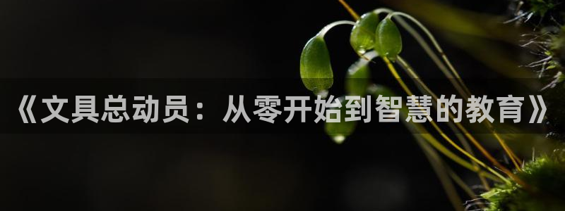 天顺娱乐痴78778卧：《文具总动员：从