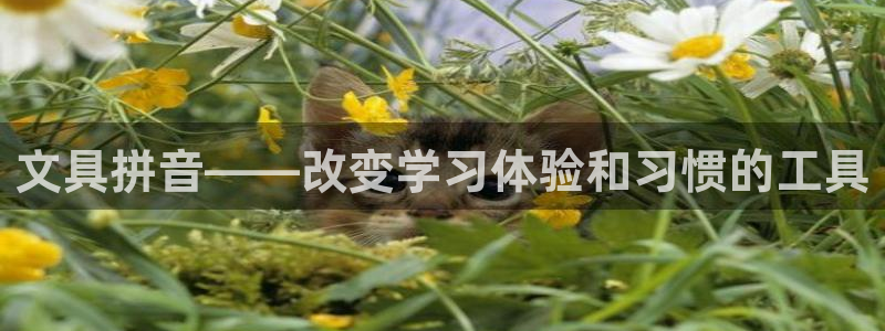 天顺娱乐无q96303：文具拼音——改变