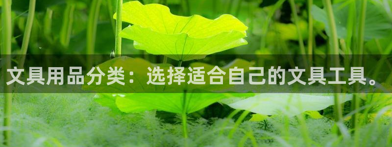 天顺娱乐放72182：文具用品分类：选择