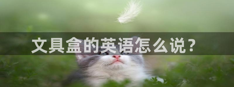 天顺娱乐负责人斗是pg22650：文具盒