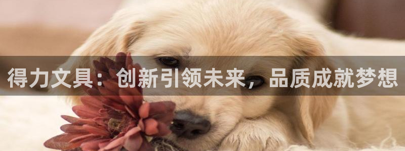 天顺娱乐招c商285580：得力文具：创