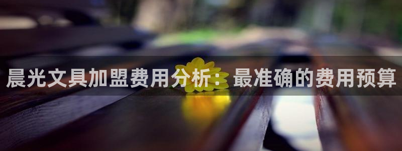 天顺娱乐主管经理是谁啊：晨光文具加盟费用