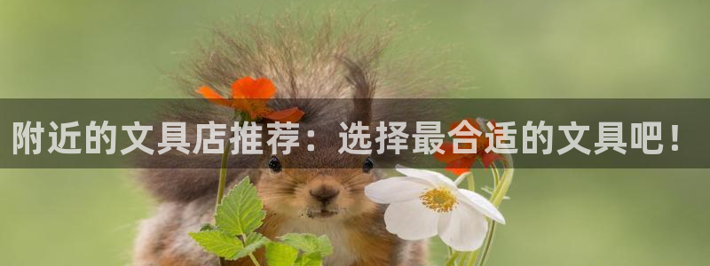 天顺娱乐馁72182：附近的文具店推荐：